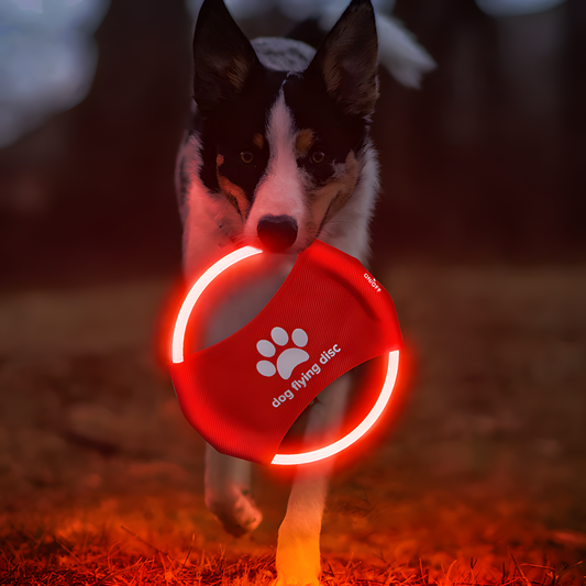 Blue LED Rechargeable Dog Flying Disc - Glow-in-the-Dark Pet Training Toy with Paw Design