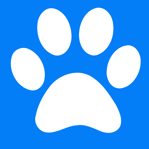 Pawlify-Amplify Your Pet’s Life!